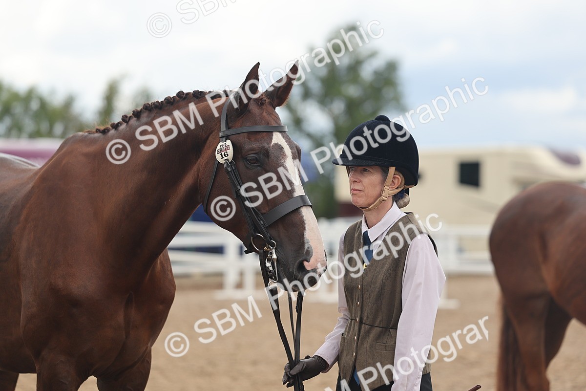 SBM_07825 - Class 27 - IH Competition Horse/Pony