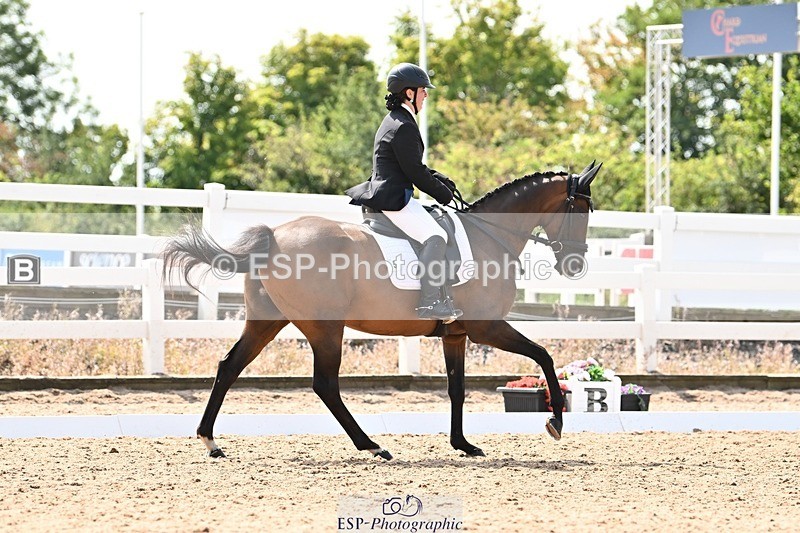 250815-132058-01428 - 005-Patricia.HaskinsGaelic.Surprise