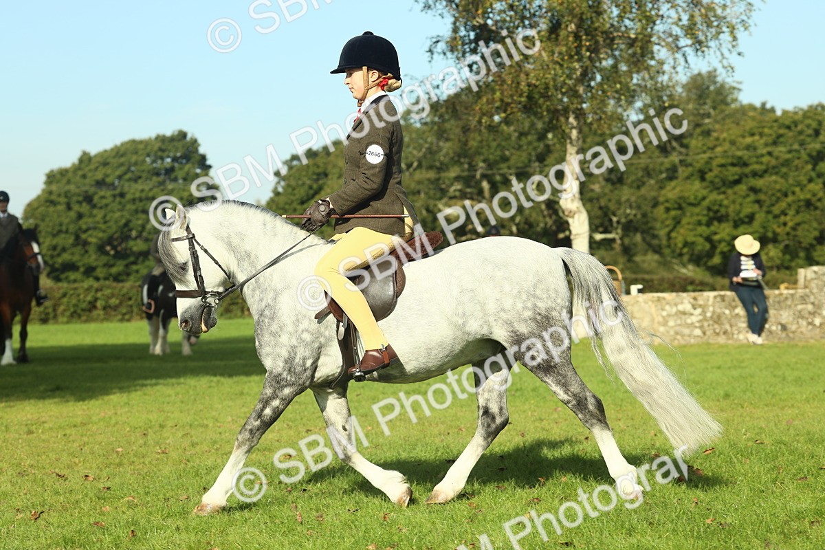 SBM_59890 - S38 - Starters Ridden Showing