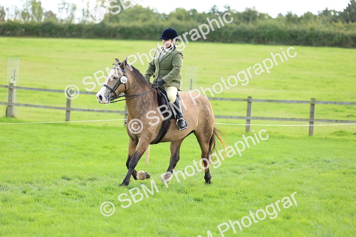 SBM_45546 - S33 - Working Hunter Pony