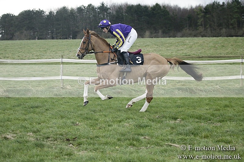 PtP 031217 352 - Hursley Hambledon Point-to-Point Larkhill 03/12/17