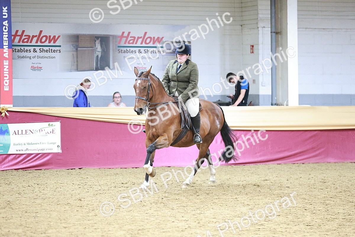 SBM_08217 - Class 11R - Regional Ridden Veteran