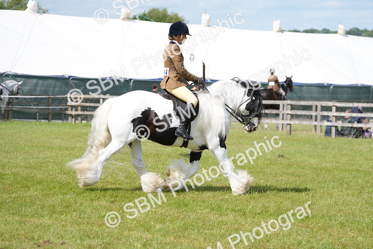 SBM_17246 - Class 107-108 - LIHS BSPS Performance Coloured Horse Pony