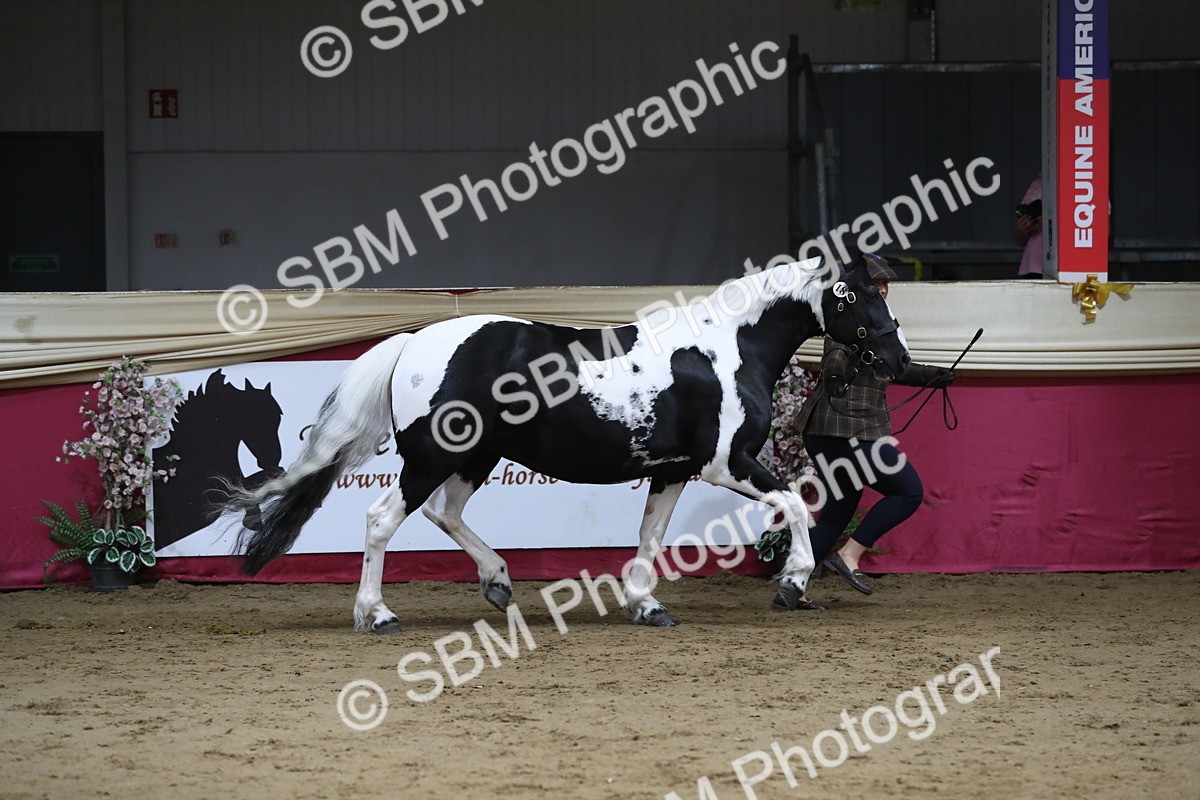 SBM_06309 - Class 9R Regional- IH Pre Vet