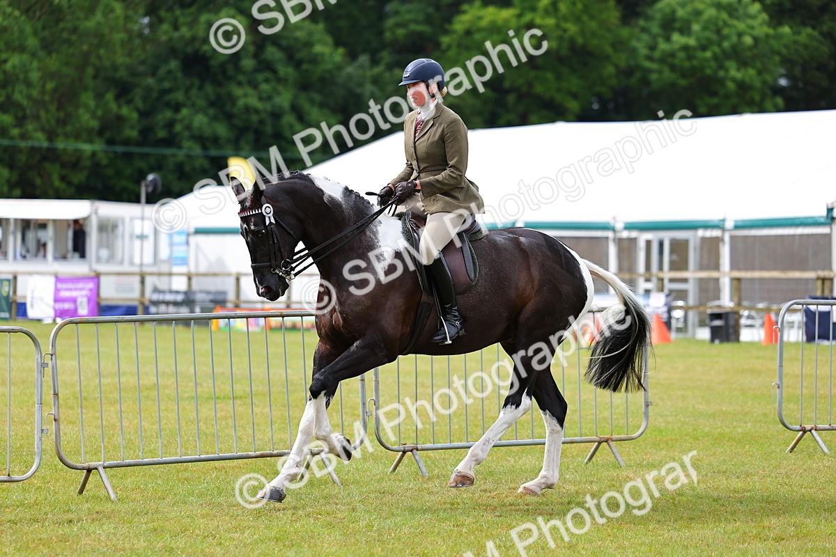 SBM_02516 - Class 9-11 Side Saddle including LIHS Rising Star Ladies Show Horse