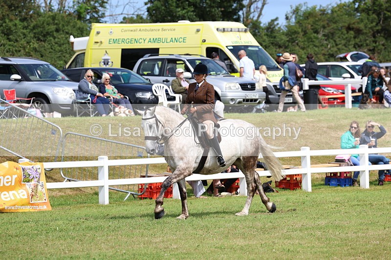 3E7A0202 - Class 6: Rising Star Maxi Cobs