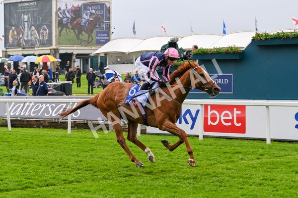 150524-Race 1-Crystal Delight-3596 - Race 1 2.15pm Sky Bet Race To The Ebor Jorvik Handicap