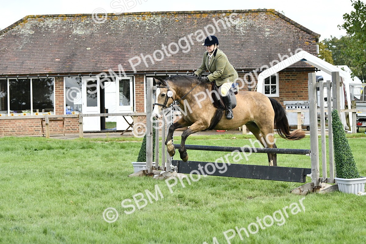 SBM_45750 - S33 - Working Hunter Pony