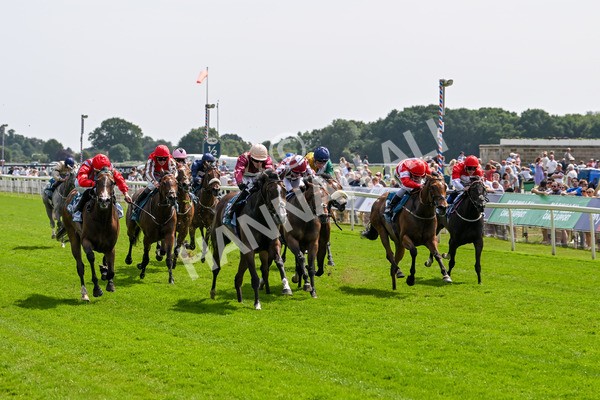 130625-Race 3-Easy Peeler-9009 - Race 3 3.00pm British EBF Supporting Racing With Pride Fillies' Handicap