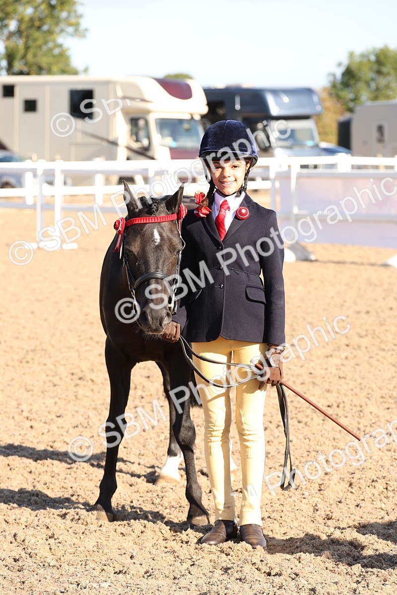 SBM_11670 - Class 203 - Young Handler 11 to 16 years