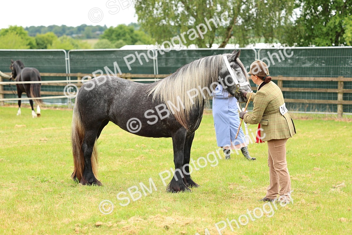 SBM_00606 - Class 58-67 - M&M Non Welsh Pony In hand