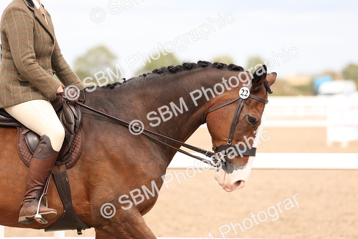 SBM_17173 - Class 213 - Ridden Hunter - Large