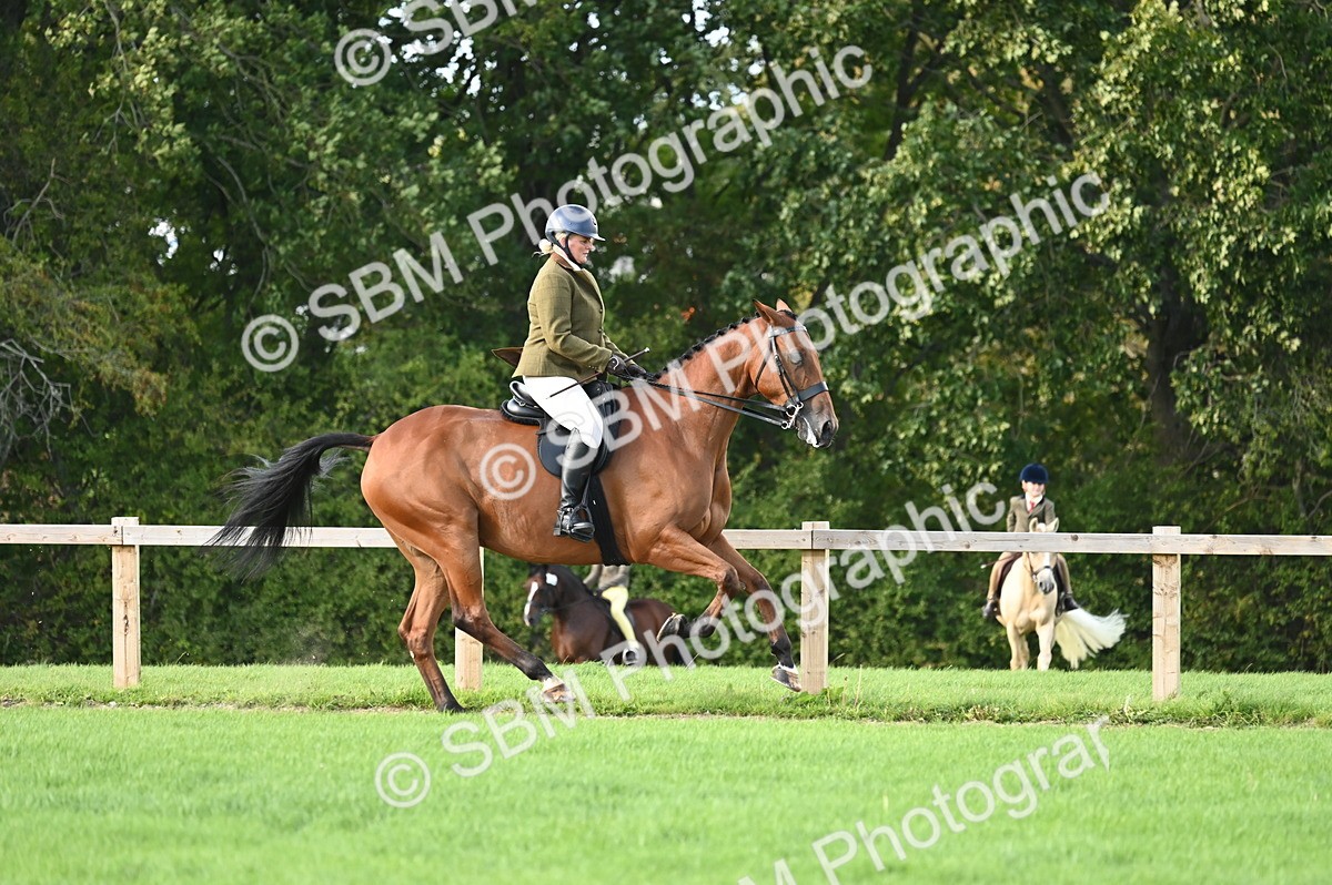 SBM_26421 - S6 - Novice & newcomer Ridden horse
