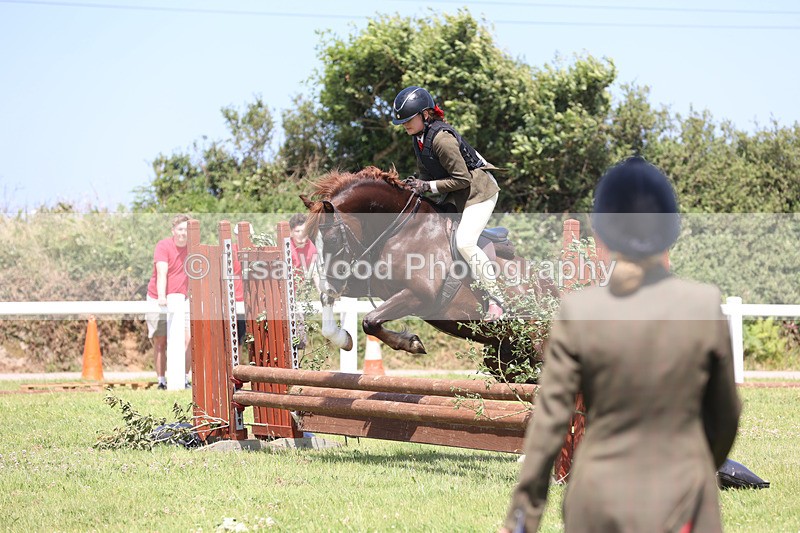 JPP_2430 - Class 21: Working Hunter 60cm