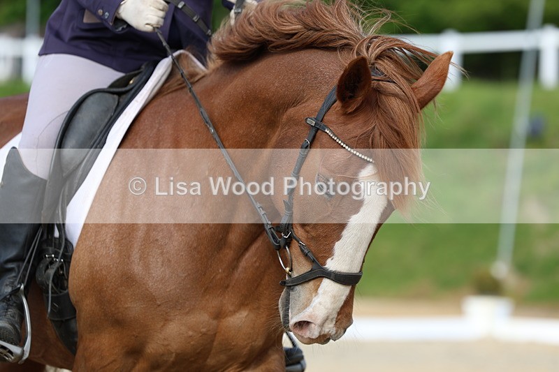 3E7A3367 - Class 2: INTRO B- INTRO 3 2024