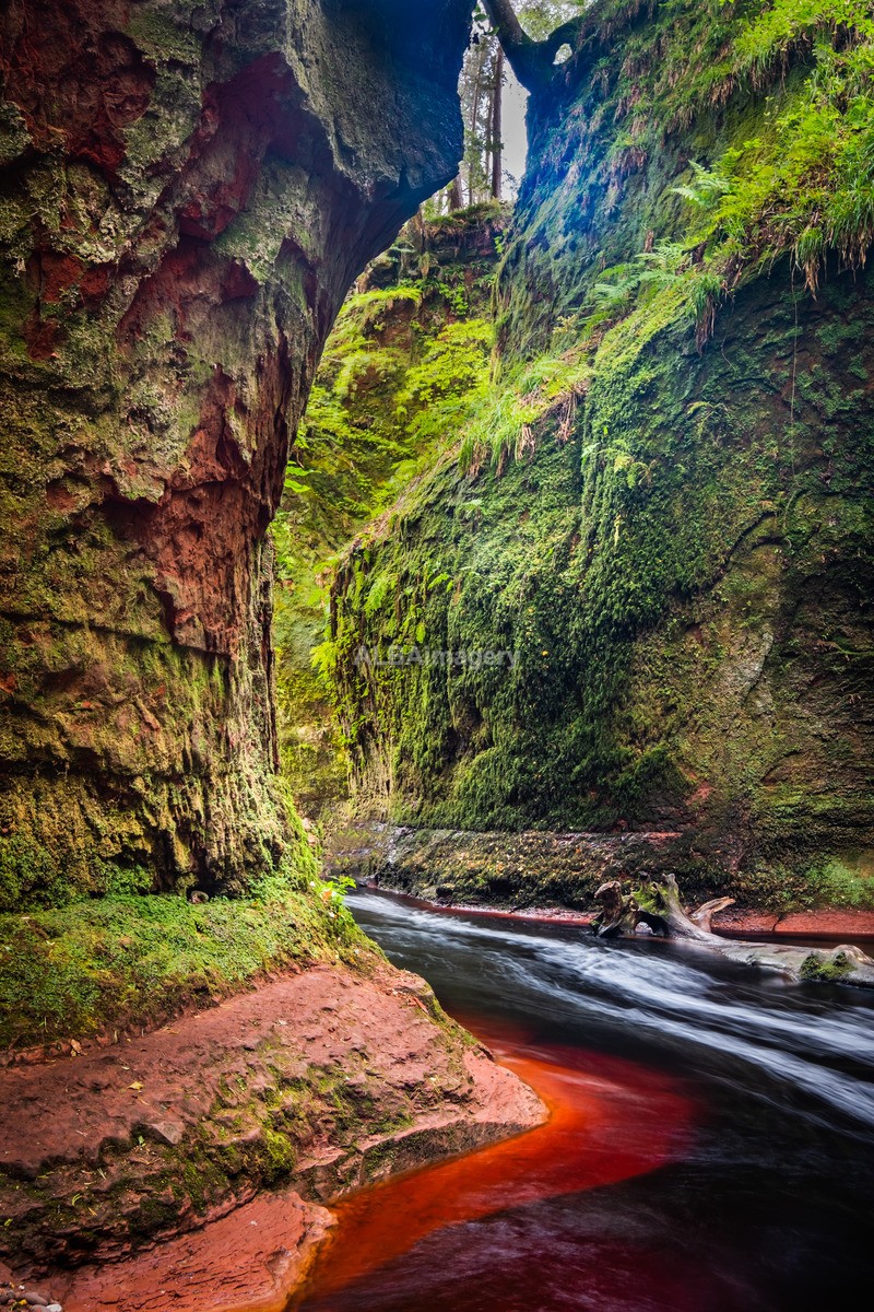 The Devil's Pulpit, Finnich Glen - My Scotland - The Landscapes