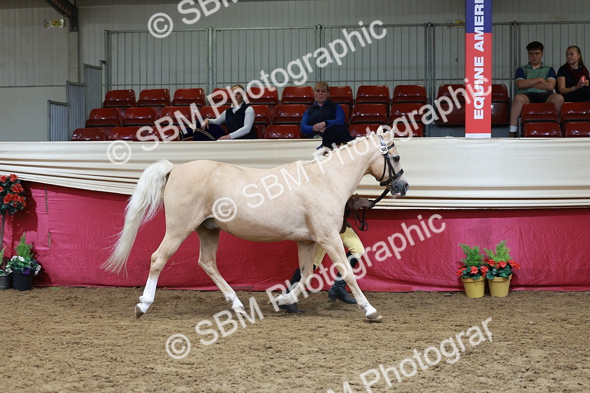 SBM_17401 - Class 951 - M&M IH Supreme Final