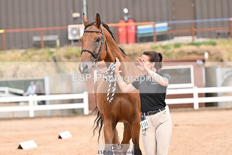 250716-154301-02151 - Trot Up 3.30 to 4.30