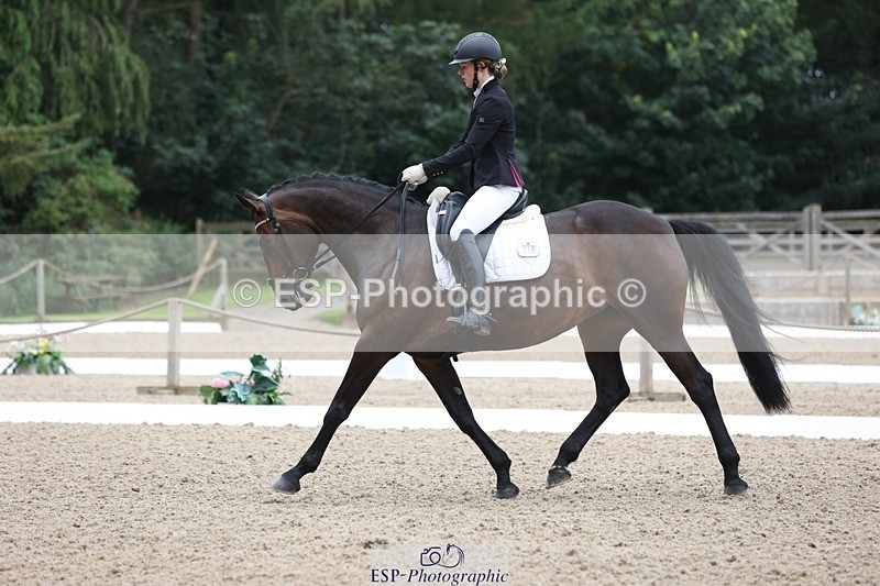 230812-094442-03010 - Cls 5 Novice Bronze Start to 10.55 break