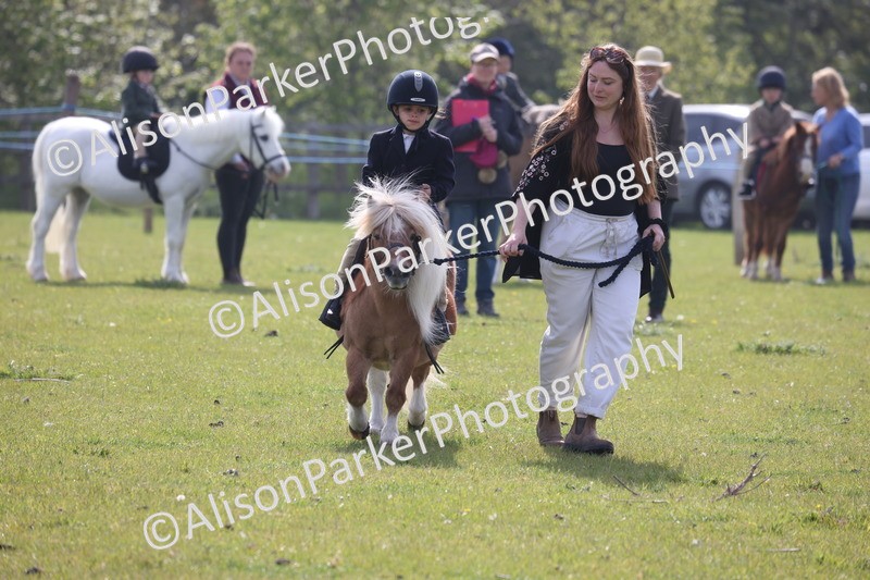 20260426-0382 - Class 30 - Tiny Tots Lead Rein