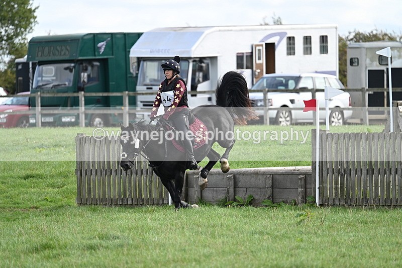 WJ7_8325 - 60cm Pairs