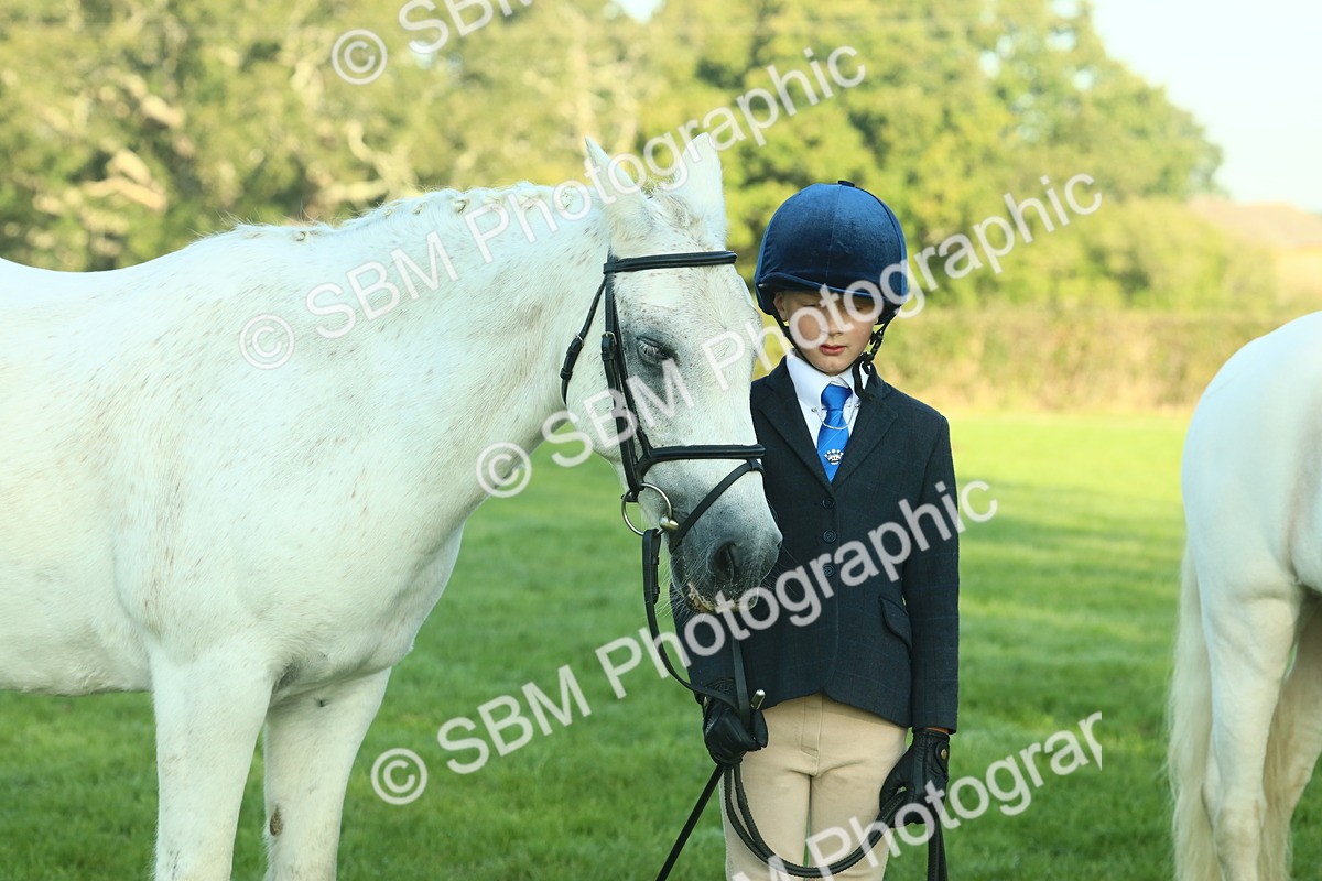 SBM_57484 - S37 - Starters In Hand Showing