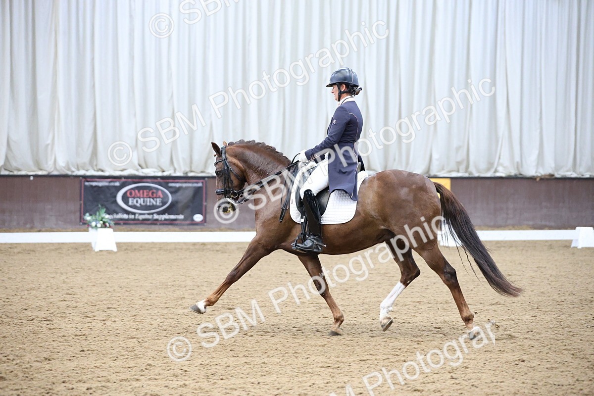SBM_004863 - Class 9 - FEI Inter 1 Gold - 16.59-17.47