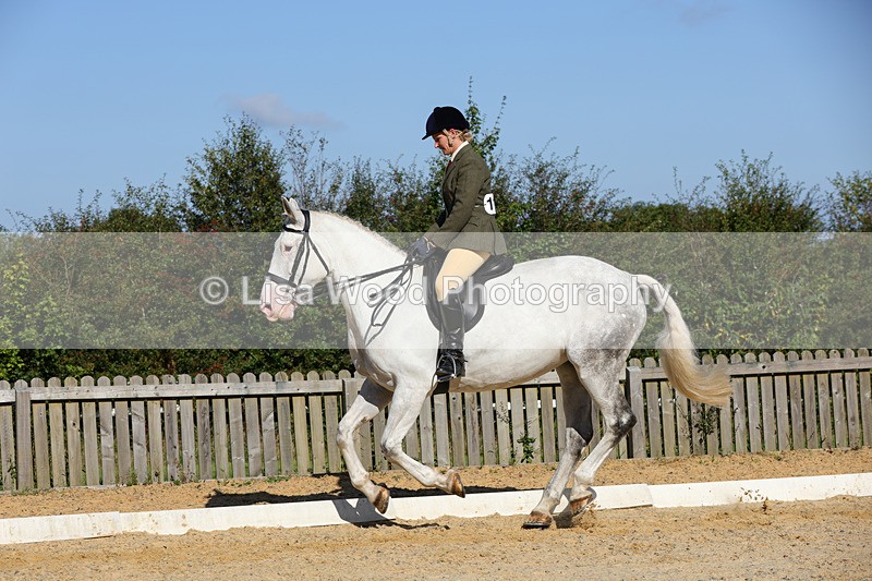 1X9A7783 - Class 9: Open Ridden Hunter
