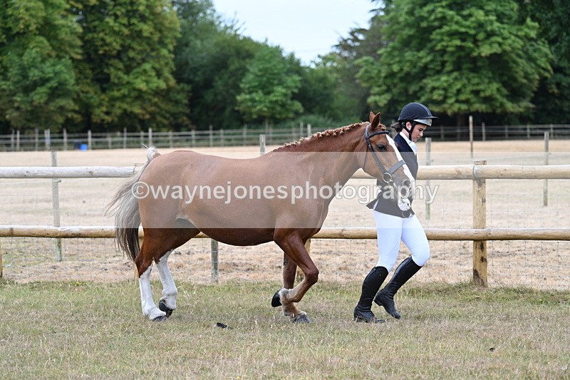 WJ7_8767 - Class 4a Prettiest Mare 14.2hh and over