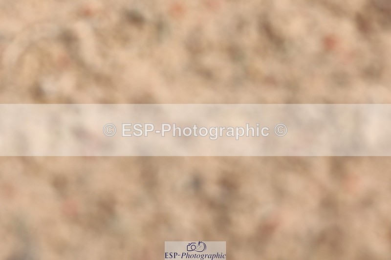 240706A-095431-00312 - Cls 2A Snr Prelim 7 Start to 10 break