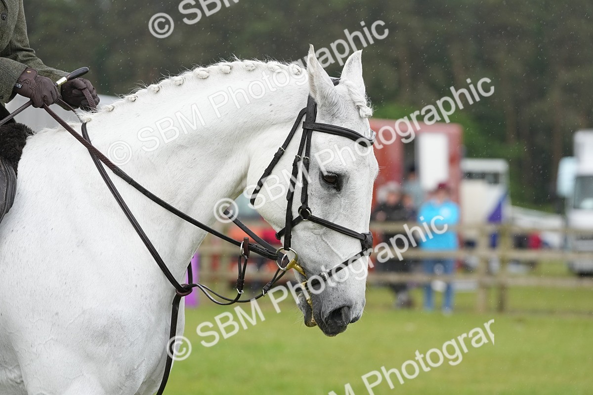 SBM_12674 - Class 97-98 - LIHS BSHA Rising Star Working Show Horse Hunter
