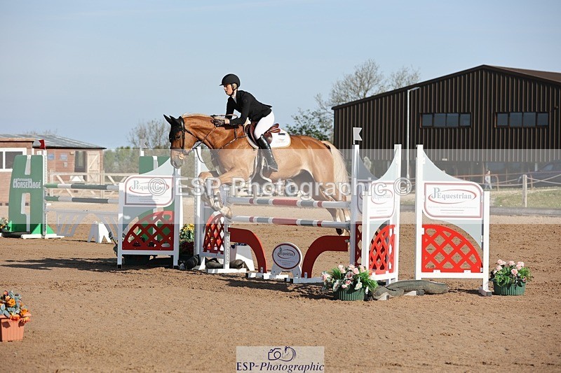 250427-085518-14659 - Cls 28 Young Horse 5yr old