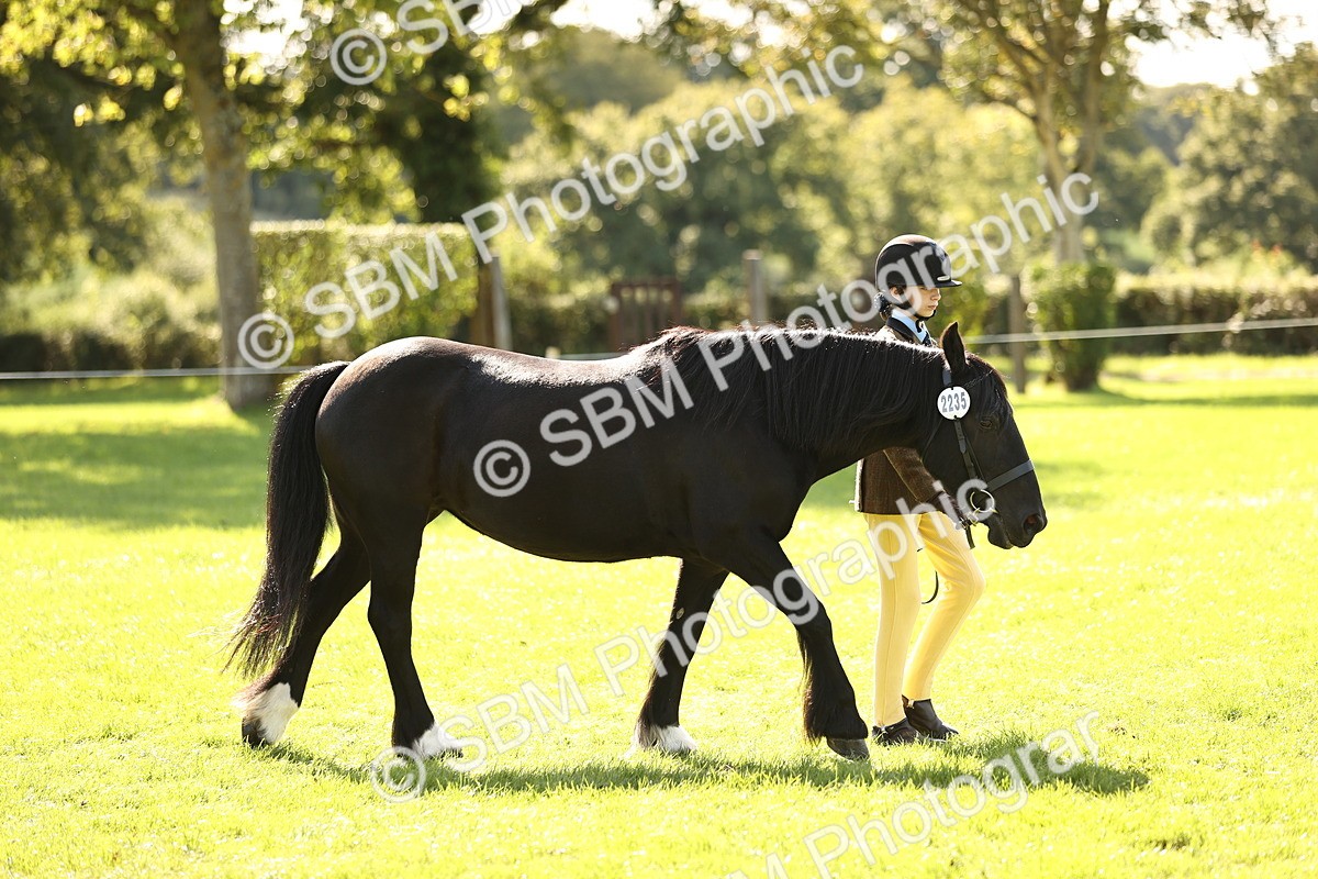 SBM_26125 - S5 - Novice & Newcomers In Hand