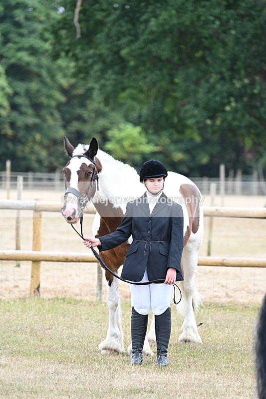 WJ7_9768 - Class 5a Most Handsome Gelding (above 14.2hh)