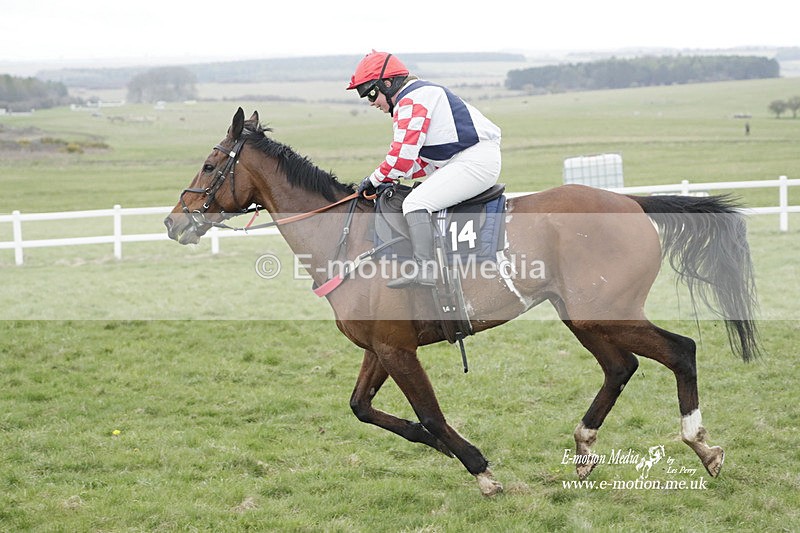 PtP 260323 0599 - New Forest Hounds Point-to-Point Larkhill 26/03/23