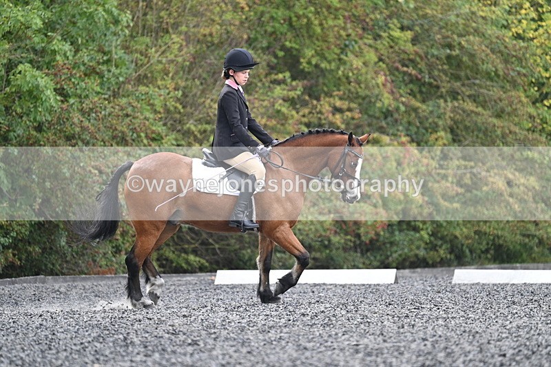 WJ7_3955 - Time 11:04 to 11:38