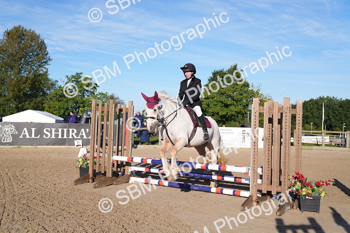 SBM_14067 - J59 - Clear Round - 65cm