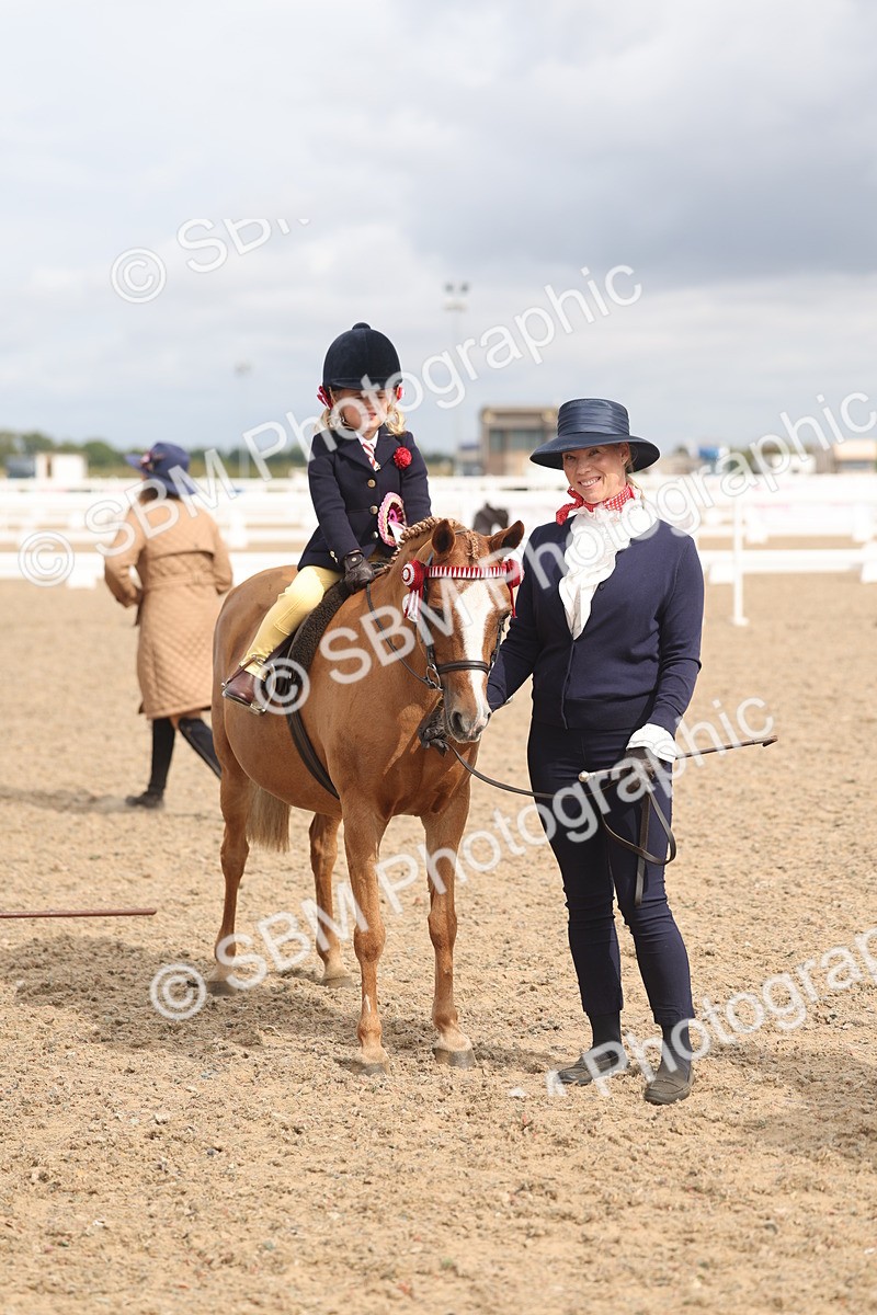 SBM_04590 - Class 19 - Horse/Pony Judge would most like to take home