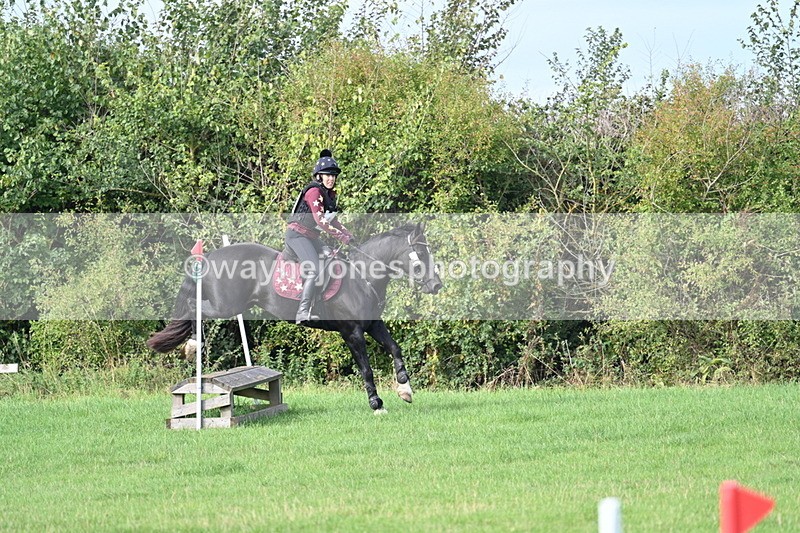 WJ7_8296 - 60cm Pairs