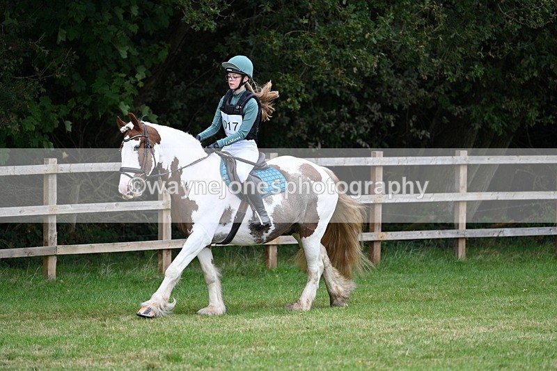 WJ7_7414 - 40cm Time 10:27 to 10:47
