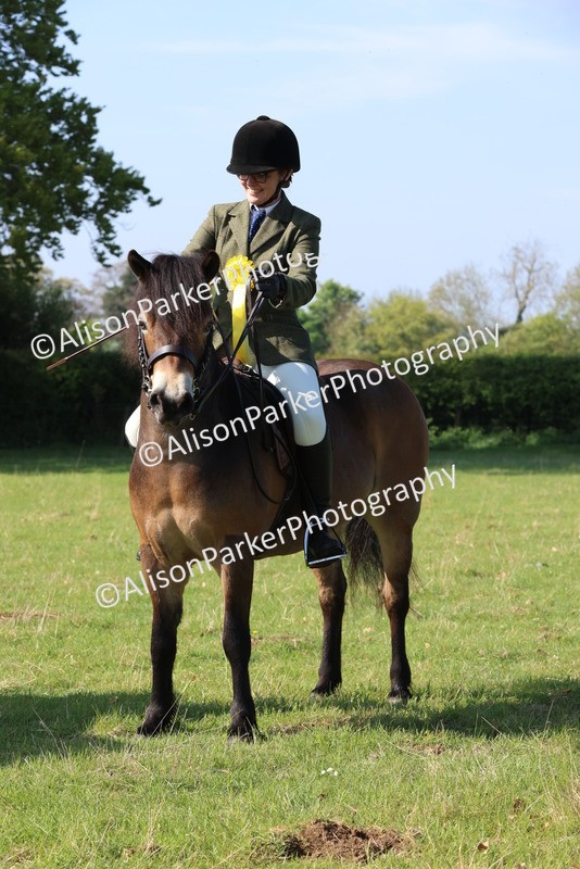 20250427-0582 - Class 17 - Novice Showing