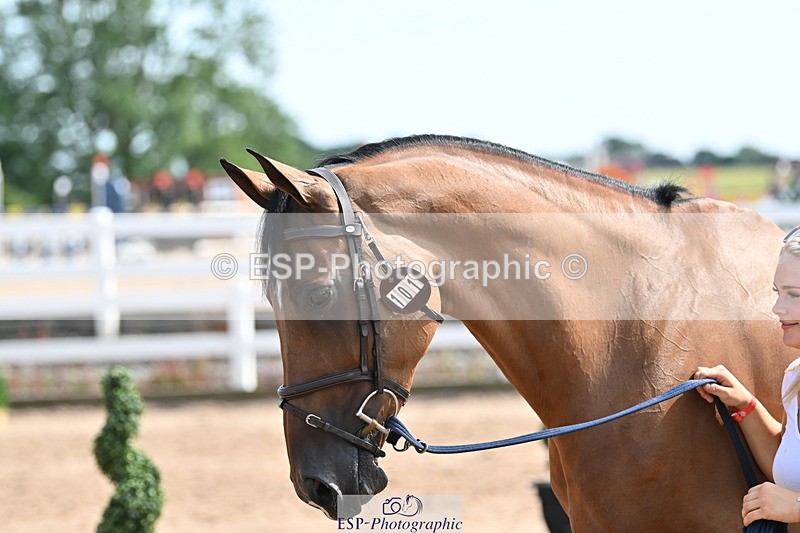 240717A-155514-03192 - Trot Up 3pm to 4pm