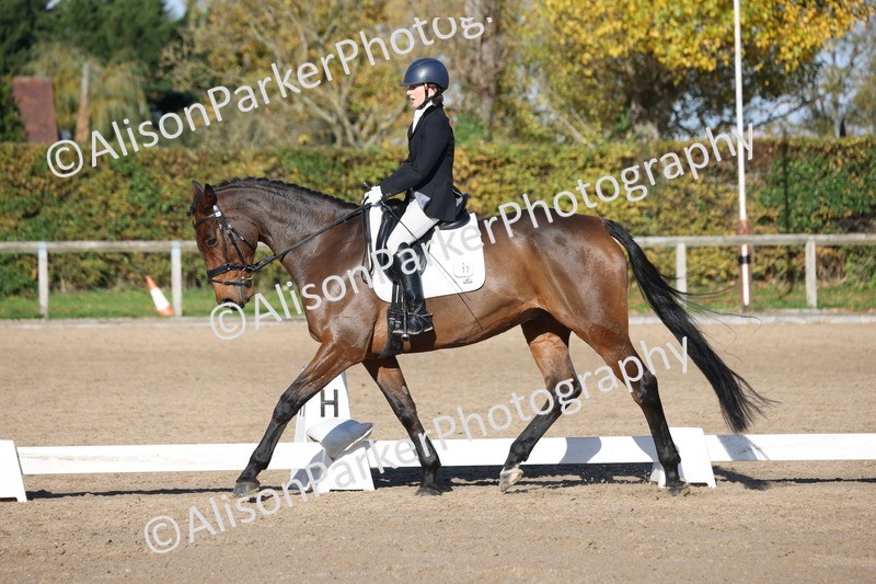 20251102-0869 - Class 5 - Elementary 5