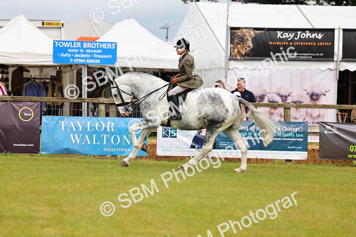 SBM_02528 - Class 9-11 Side Saddle including LIHS Rising Star Ladies Show Horse