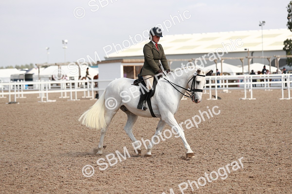 SBM_14888 - Class 212 Ridden Hunter - Small