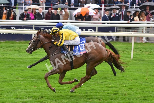 yr21082021r4-78 - Race 4 3.35pm Sky Bet Ebor