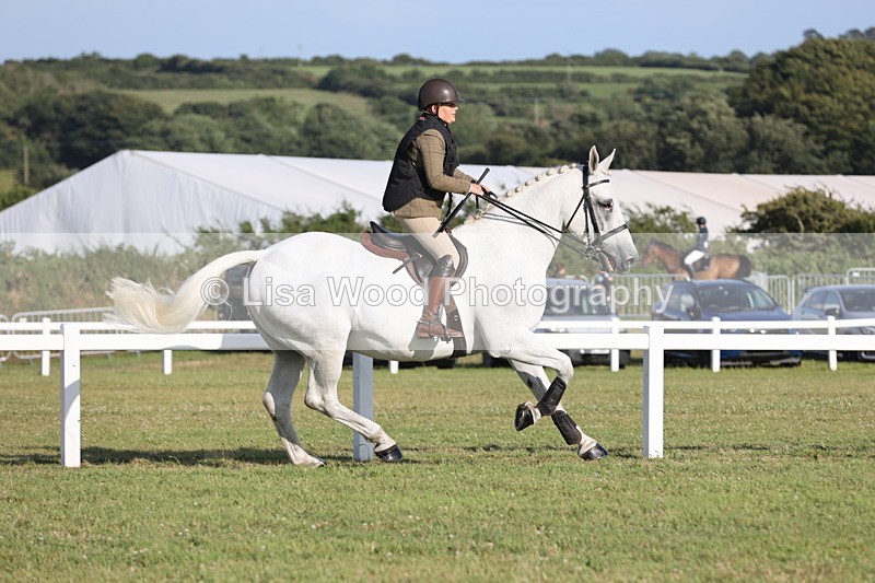 JPP_3349 - Class 22: Working Hunter 90cm