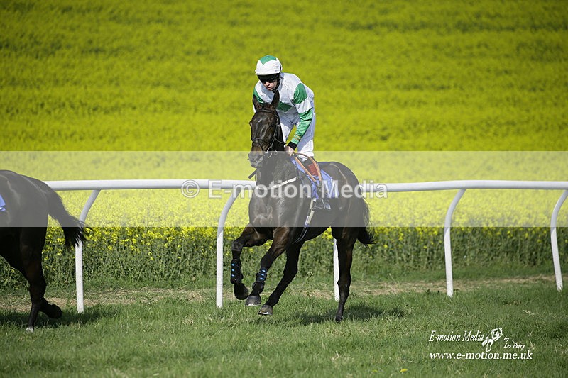 PtP 180422 238 - Old Berkshire PtP Lockinge 18/04/22