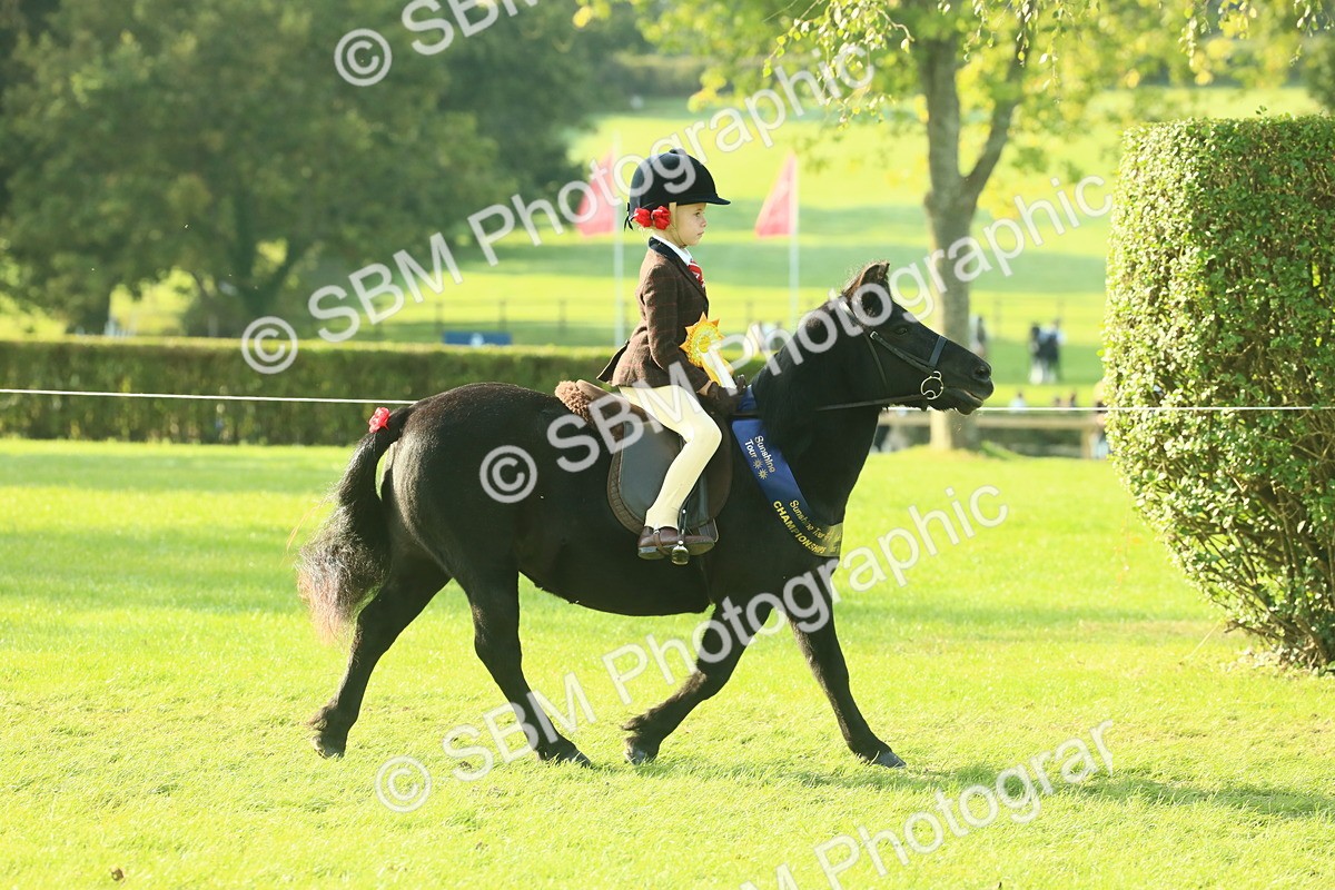 SBM_59281 - S38 - Starters Ridden Showing