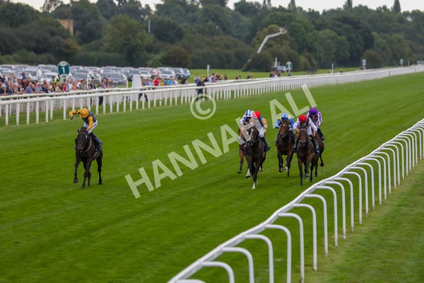 230823-Race 2-Indian Run-4125 - Race 2 2.25pm Tattersalls Acomb Stakes